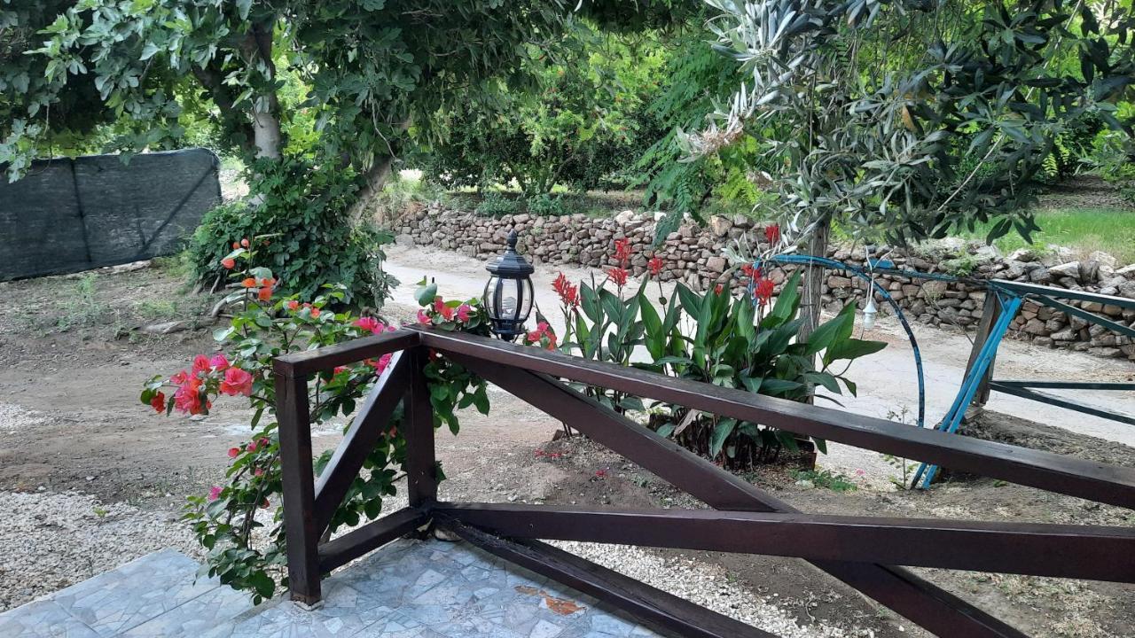 Teo Hotel&Pansion Cirali Bagian luar foto