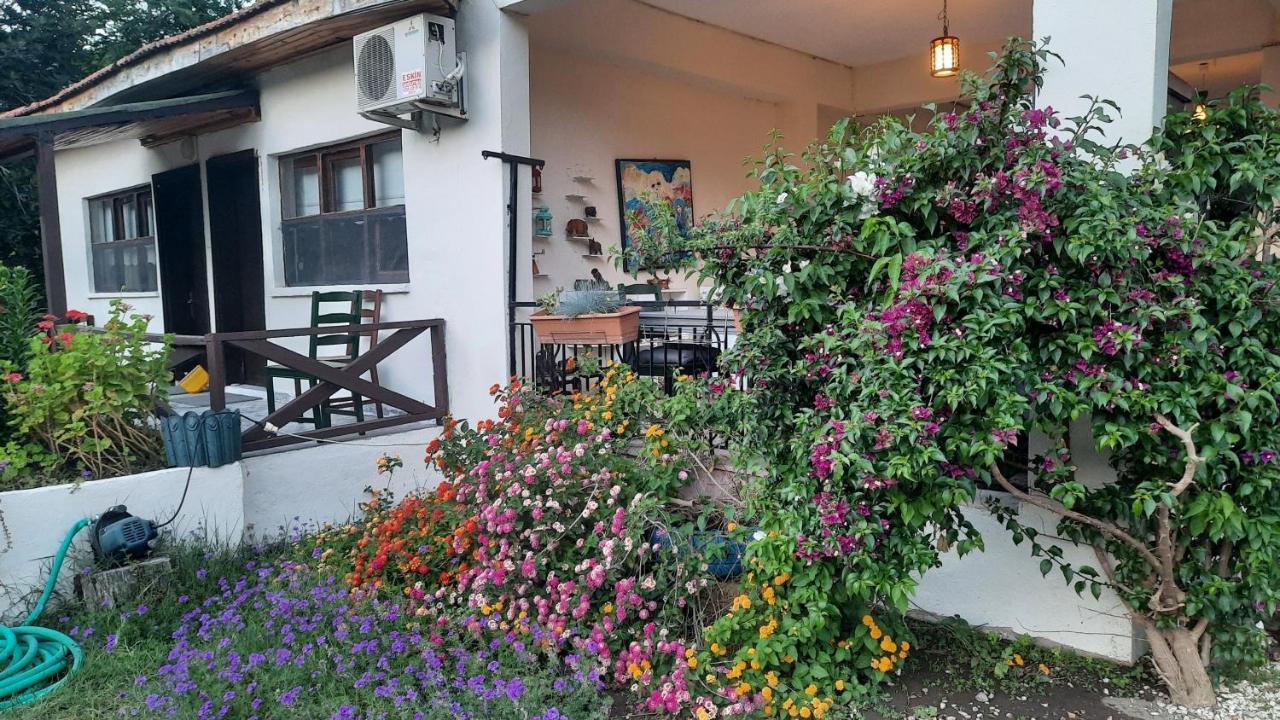 Teo Hotel&Pansion Cirali Bagian luar foto