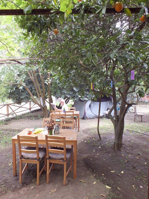 Teo Hotel&Pansion Cirali Bagian luar foto